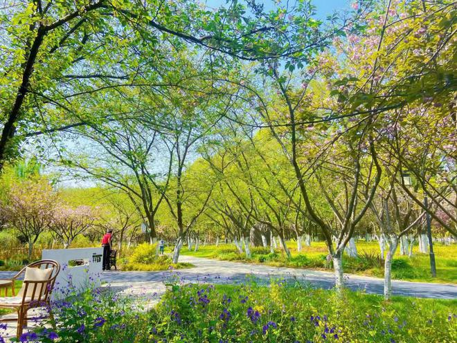 我市开展2022年“南湖杯”园林绿化优质工程评选
