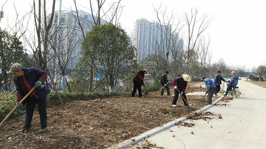 武汉青山江滩二期园林景观绿化工程