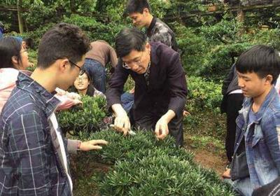 重庆市风景园林技工学校招聘要求